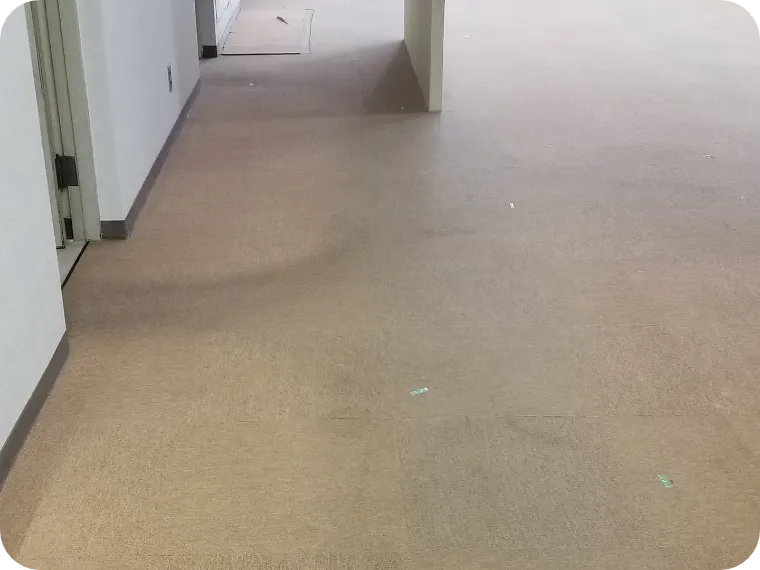 カーペット清掃